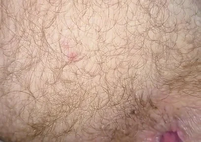 Eat My Ass and Drink My Nut