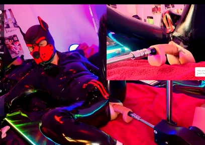 Doggy Rubber Show
