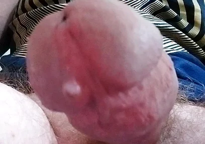Let Cock Be Your Guide