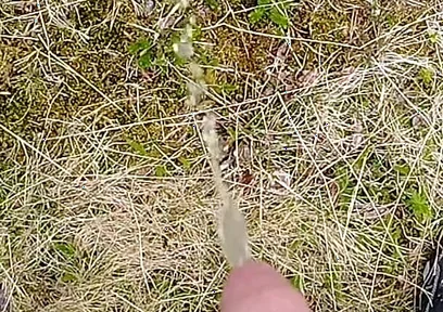 Pissing up in the Mountains