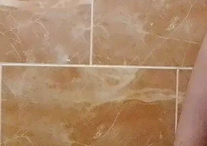 I Made a Video in the Toilet While Taking a Shower.