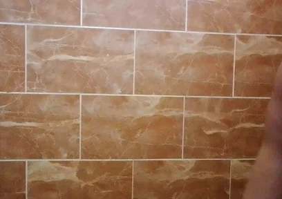 I Made a Video in the Toilet While Taking a Shower.