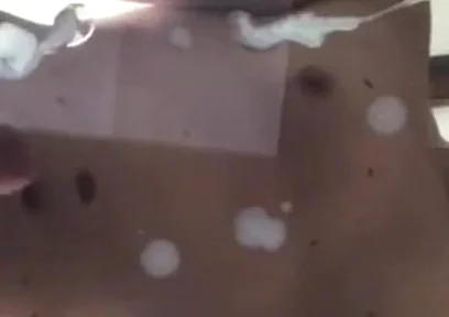 Snooped on My Young Bro's Phone This Hot Video