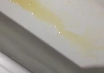 Peeing in the Bathtub