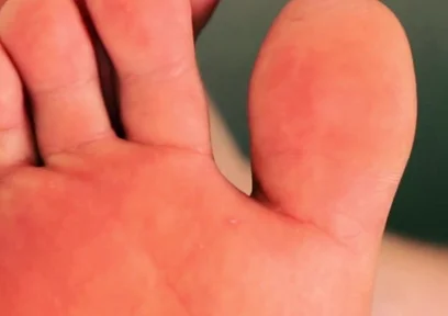 Sniff & Submit Foot Worship Trainer
