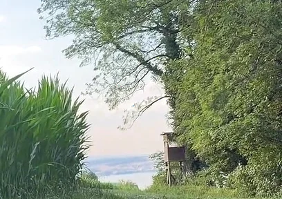 Risky Bwc Stroking Outdoors on Meadow with Lake View - Big Cumshot