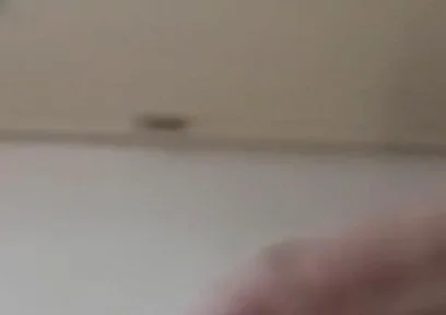 Quick Tease
