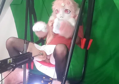 Dildo in My Furry Ass 1
