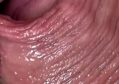 Cocksucker