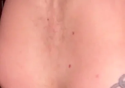 A Wolf Gets Fucked by a Bear