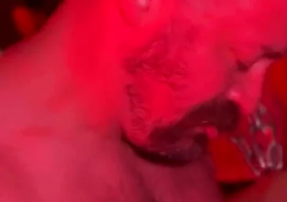 Bear Cruises the Dark Rooms