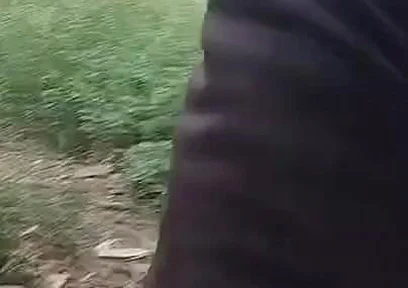 Panjabi Desi Boy Forest Outdoor Handjob