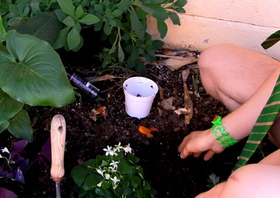 Giving the Plants Some Protein