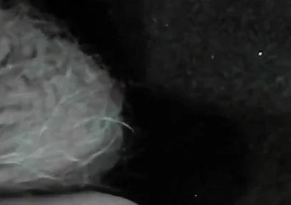 Arc of Sperm, Solo Amateur, Fountain
