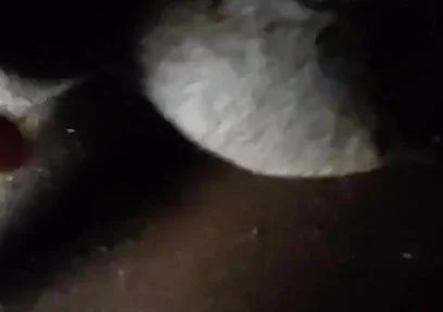 Spit on Your Genitals and Move and Ejaculate
