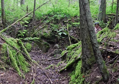 Gray Day Hiking