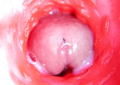 Camera Inside Anal: Almost Cum in Ass! Best Internal Asmr in 4K