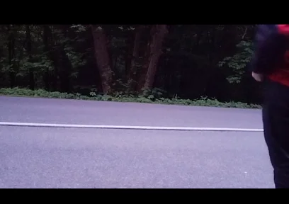 Roadshock