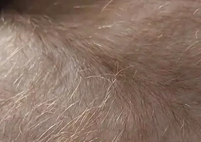Anybody Want to Run Their Hands Over My Hairy Ginger Chest and Belly?