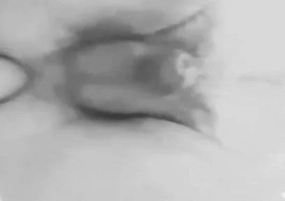 Anal Plaisure
