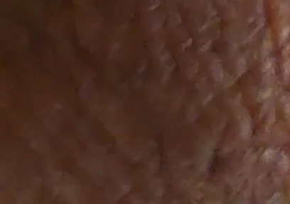 Closeup Desi Dick