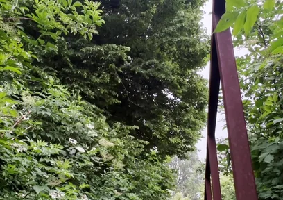 Netherland Guy Dared Strips and Walks Naked in the Park Candid