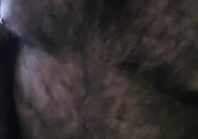 Bear Alone