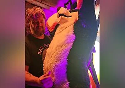 Blindfolded Canine Edged By Stepdaddy Bear Until He