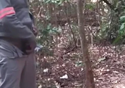 I Went to the Lagoon to Take a Piss and Masturbate.