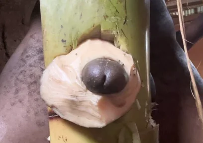 Hoter Way to Be Very Hard Strong Straight Cum Cute