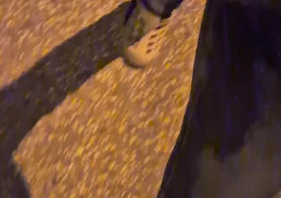 Pissing Jeans in Public