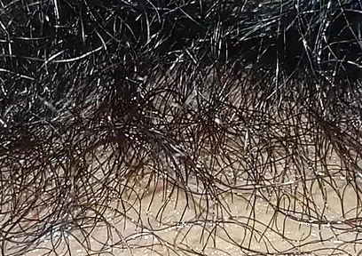 Handboy Masturbation After Frist Time