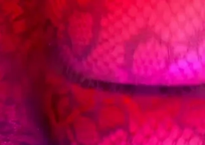 Big Booty