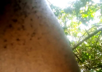 Travel bush