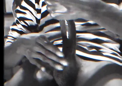 Wanna See a Full Video?