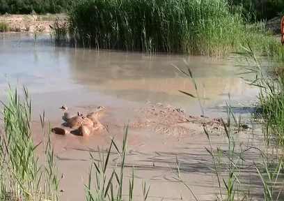 A Short Exploration of a New Mud Lake