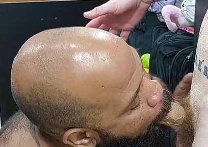 Taking Turns with the Dirty Bear's Ass
