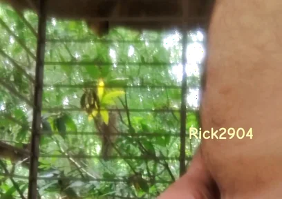 Playing with My Dick