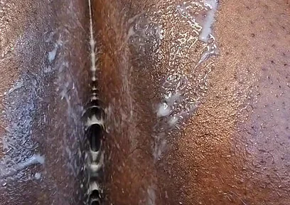 Pantyhose Pushing Out Fruits