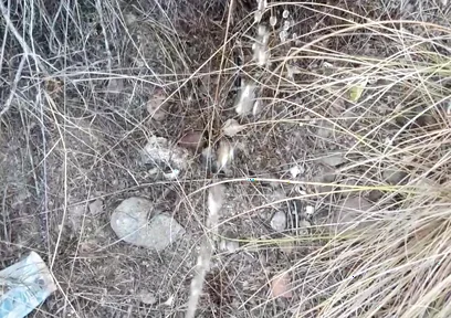 Risky Piss, I Had to Urinate in a Field Behind Some Flats Because My Cock Needed to Pee.