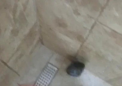 Masturbation Wash