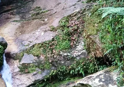 On a Walk to the River - Masturbation and Outdoor Urination