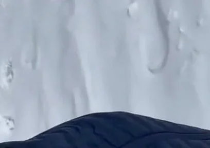 Guy Showing off Cock Pissing While X Country Skiing