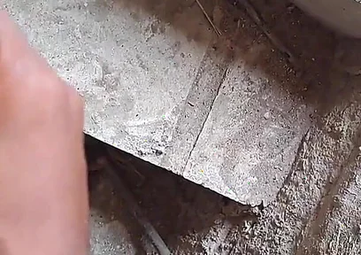 I Opened My Ass and Punched My Fist in the Closed Room