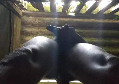 I Love to Play with My Balls and Black Dick