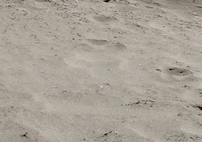 On the Beach Nude