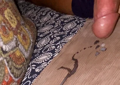 Promo Sleepy Cock