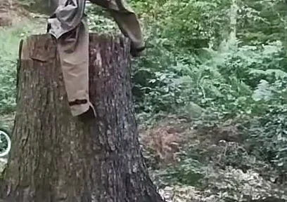Stump Chase, Part One