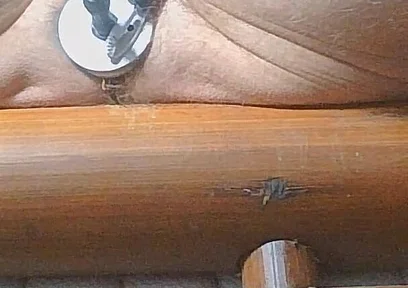 Long Edging