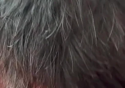 The Secret Intimacy of the Bears 3